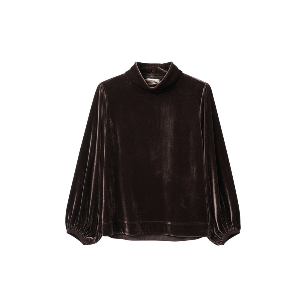 Luxury Velvet Blouse